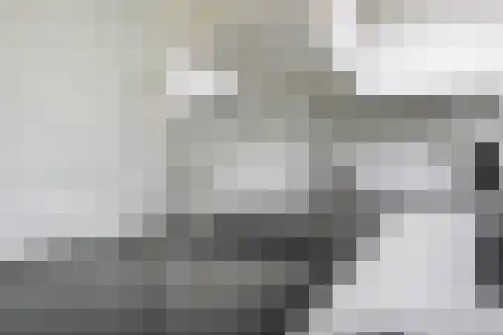 Rietveld 7 Wouw thumbnail 15