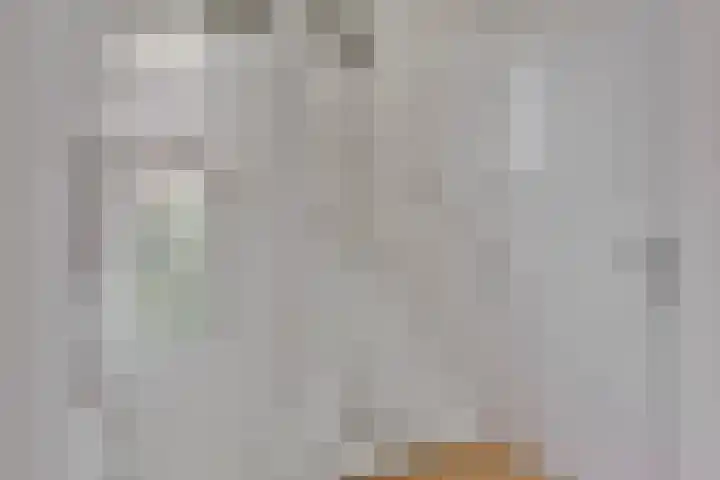 Rietveld 7 Wouw thumbnail 18