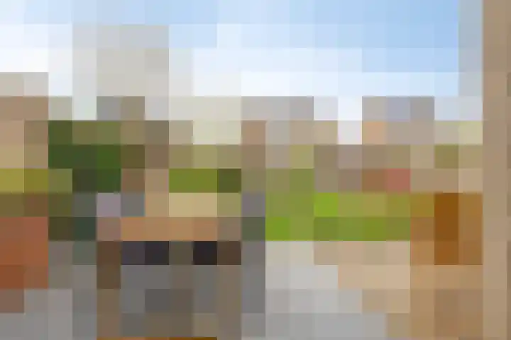 Rietveld 7 Wouw thumbnail 28