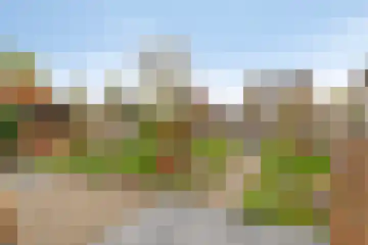 Rietveld 7 Wouw thumbnail 29