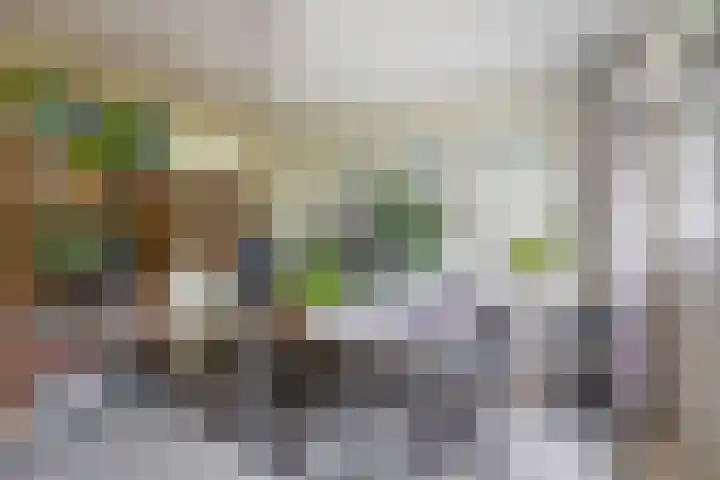 Capture d'écran du site web de www.rietveldlimmen.nl