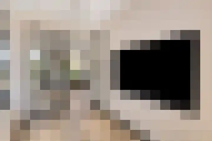 Rietven 179 Veghel thumbnail 10