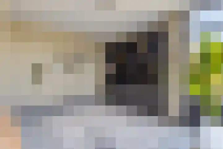 Rietven 179 Veghel thumbnail 12