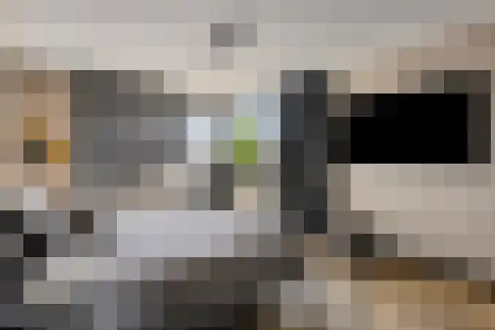 Rietven 179 Veghel thumbnail 17