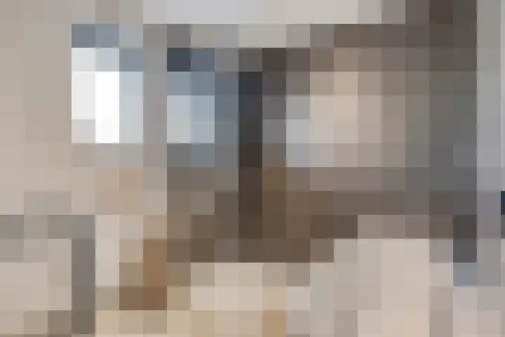 Rietven 179 Veghel thumbnail 21