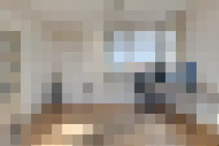 Rietven 179 Veghel thumbnail 26