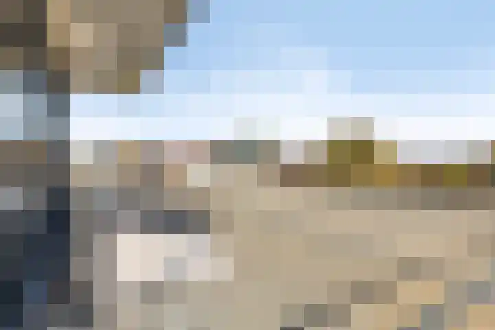 Rietven 179 Veghel thumbnail 28