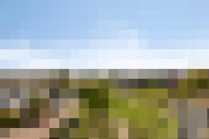 Rietven 179 Veghel thumbnail 30