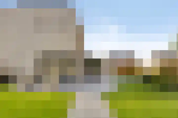 Rietven 179 Veghel thumbnail 31