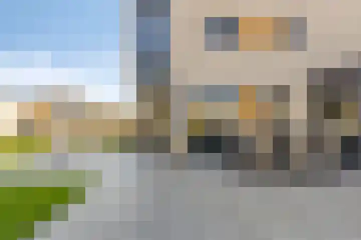 Rietven 179 Veghel thumbnail 32