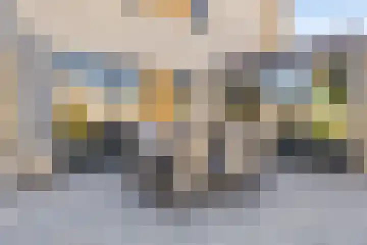 Rietven 179 Veghel thumbnail 33