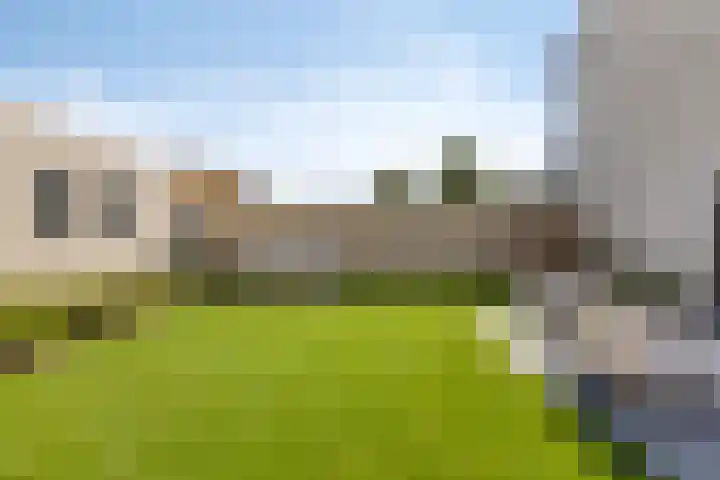 Rietven 179 Veghel thumbnail 35