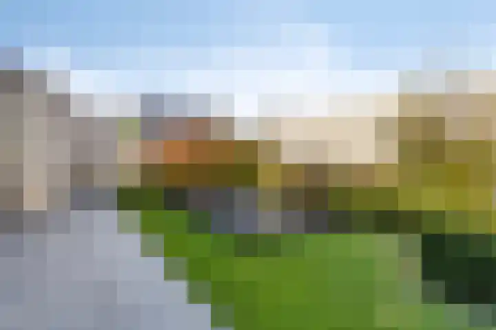 Rietven 179 Veghel thumbnail 36