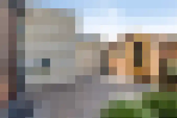 Rietven 179 Veghel thumbnail 37