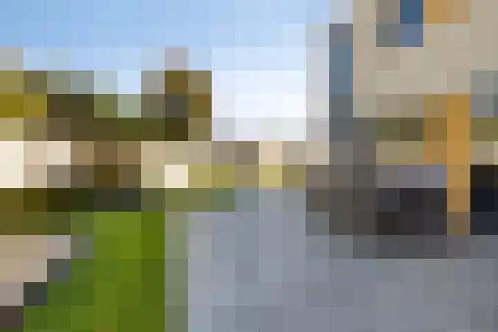 Rietven 179 Veghel thumbnail 38