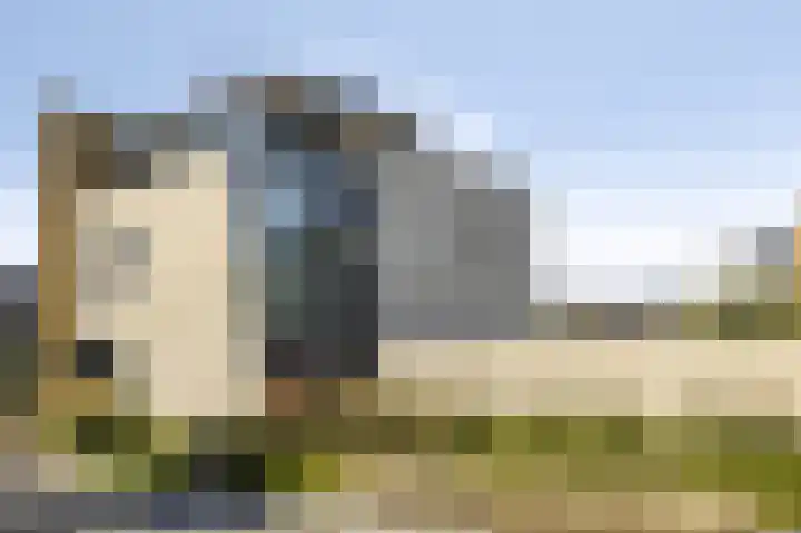 Rietven 179 Veghel thumbnail 42