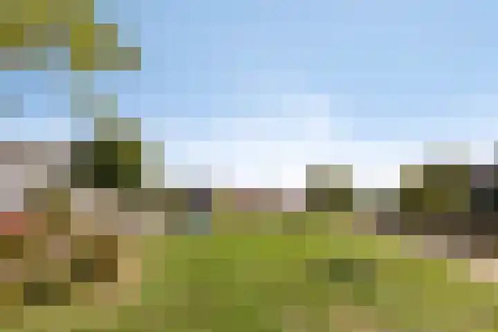 Rietven 179 Veghel thumbnail 44
