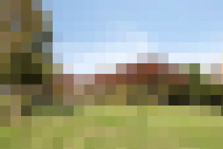 Rietven 179 Veghel thumbnail 45