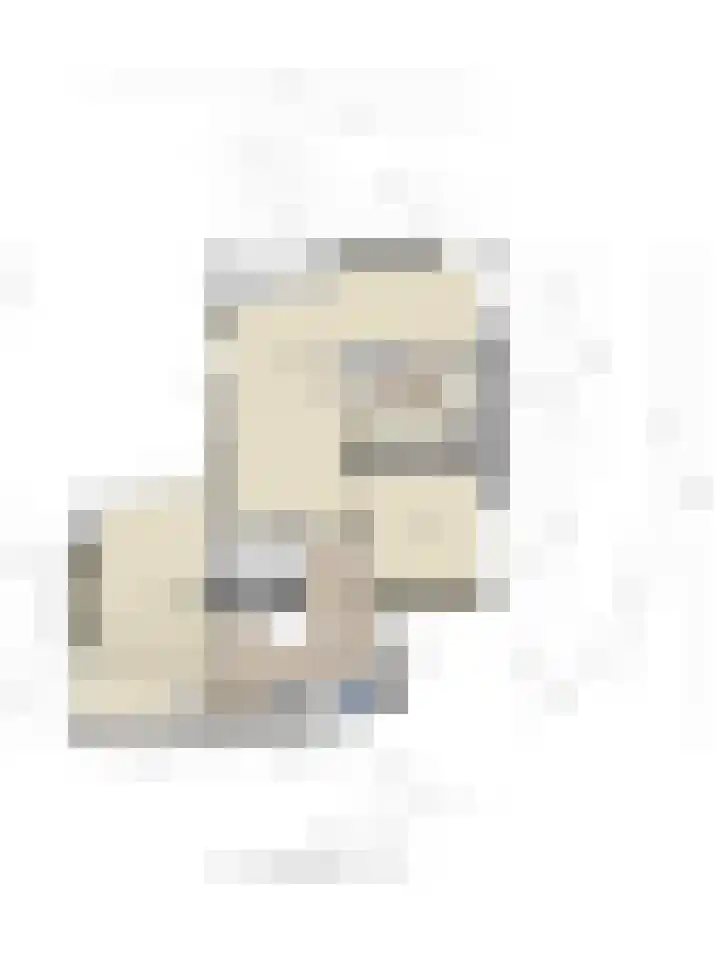 Rietven 179 Veghel thumbnail 47