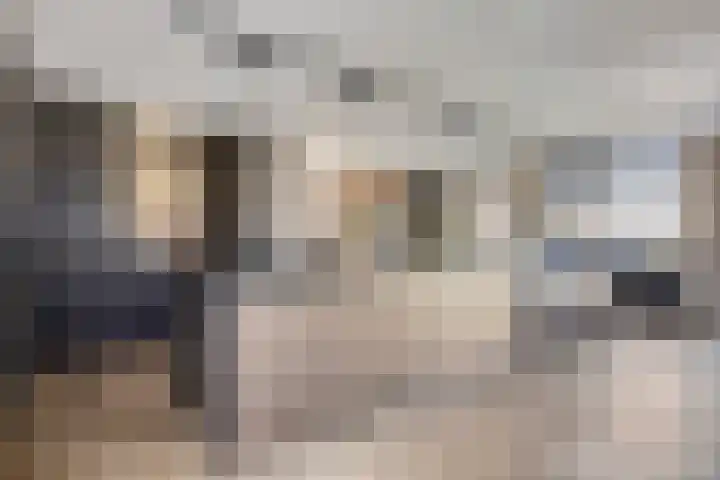 Rietven 179 Veghel thumbnail 6