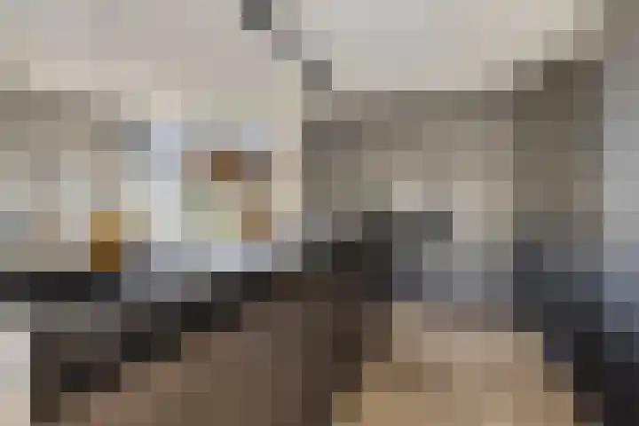 Rietven 179 Veghel thumbnail 8