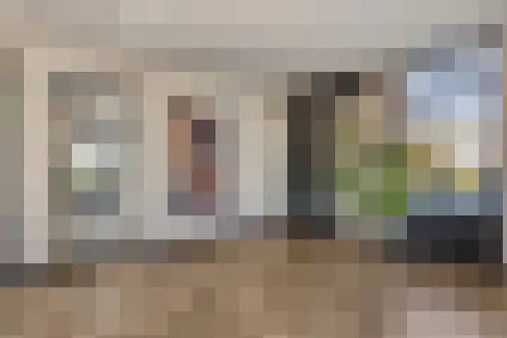 Rietven 179 Veghel thumbnail 9