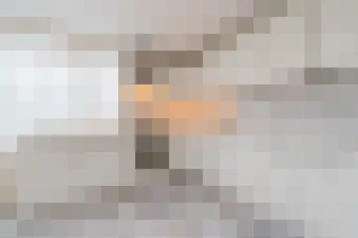 Rietven 276 Veghel thumbnail 14