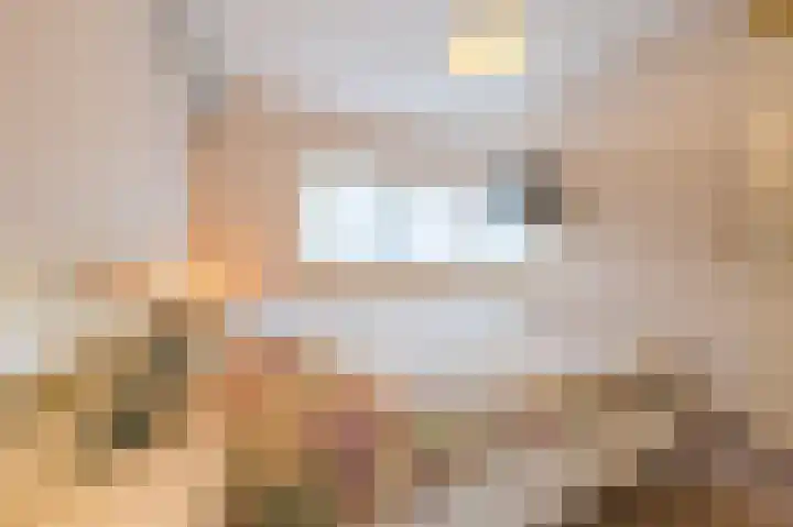 Rietven 276 Veghel thumbnail 18