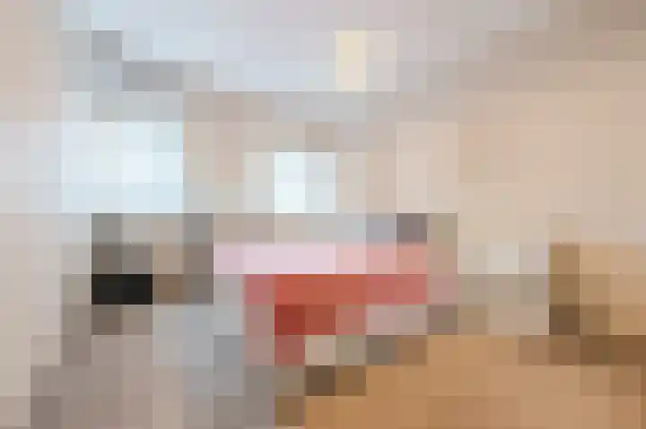 Rietven 276 Veghel thumbnail 20