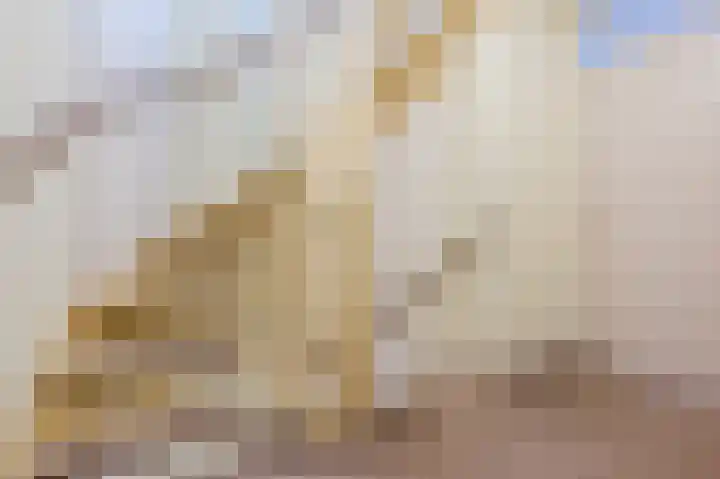 Rietven 276 Veghel thumbnail 28