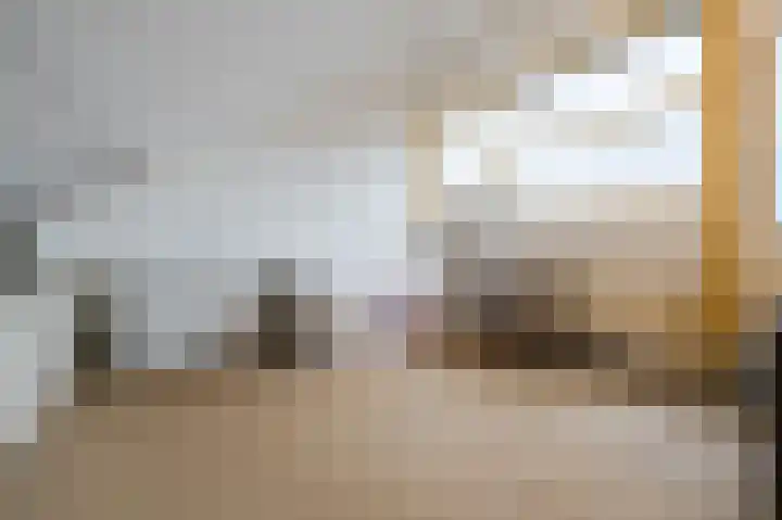 Rietven 276 Veghel thumbnail 29