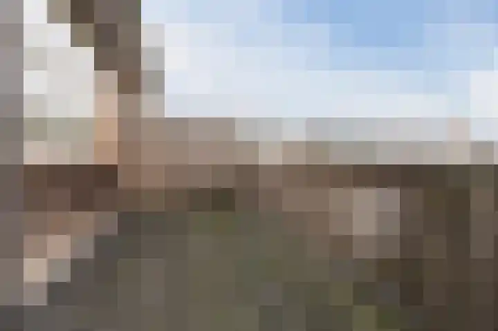 Rietven 276 Veghel thumbnail 32