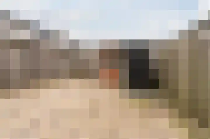 Rietven 276 Veghel thumbnail 36