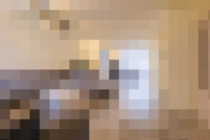 Rietven 276 Veghel thumbnail 5