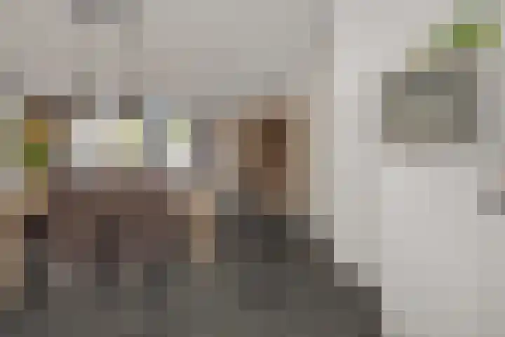 Rietven 50 Deurne thumbnail 12