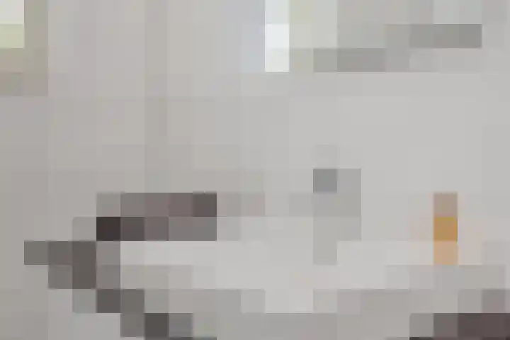 Rietven 50 Deurne thumbnail 20