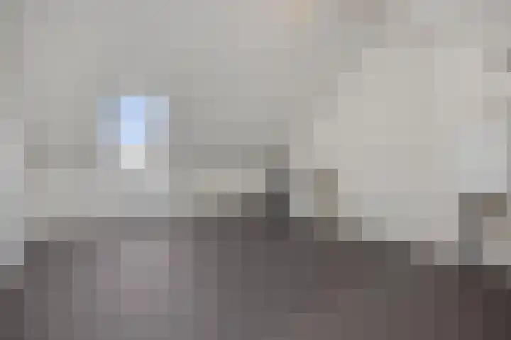 Rietven 50 Deurne thumbnail 24
