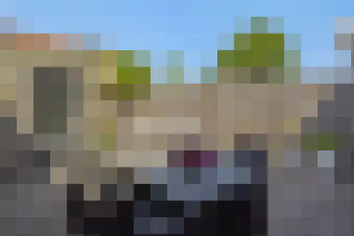 Rietven 50 Deurne thumbnail 26