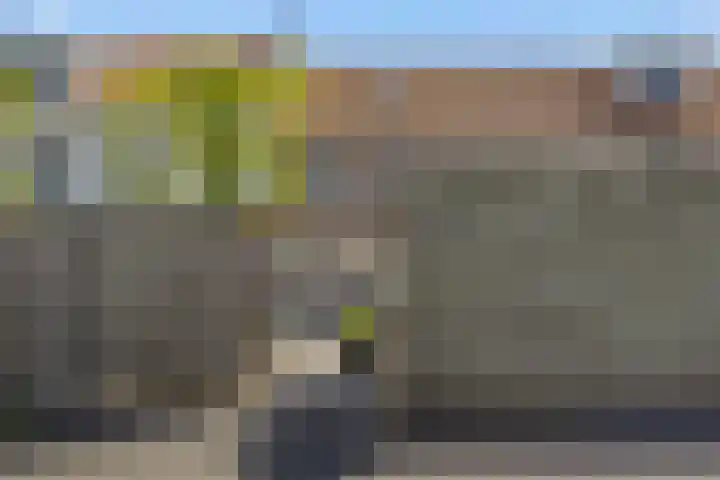 Rietven 50 Deurne thumbnail 28