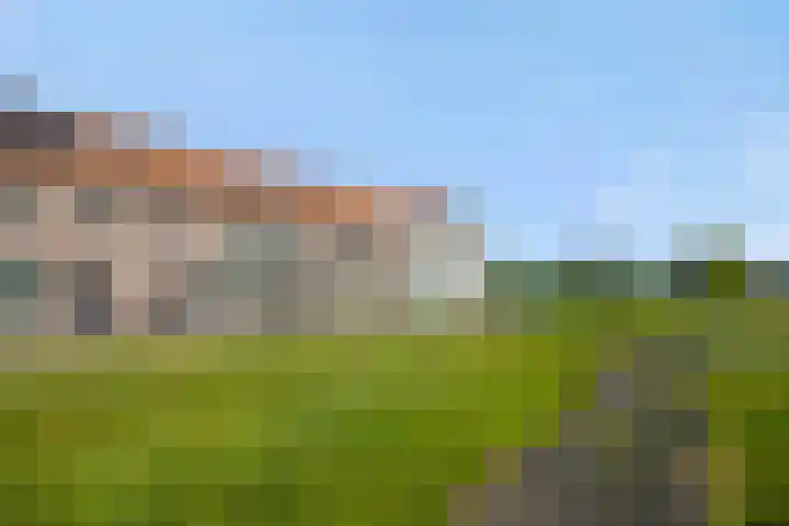 Rietven 50 Deurne thumbnail 31