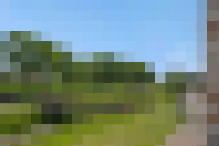 Rietven 50 Deurne thumbnail 32