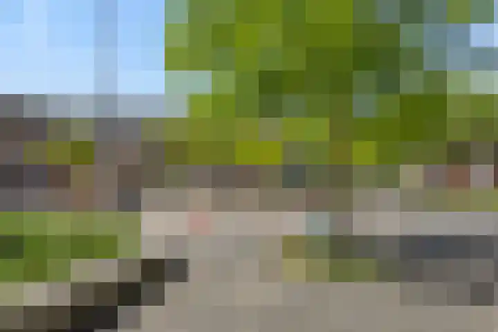 Rietven 50 Deurne thumbnail 33