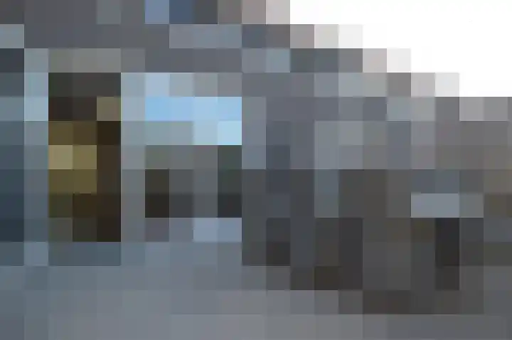 Rietven 60 Deurne thumbnail 29