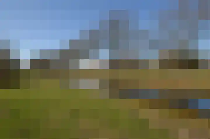 Rietven 60 Deurne thumbnail 35