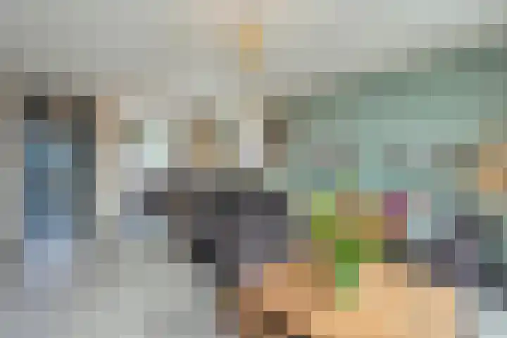 Rietven 65 Deurne thumbnail 10