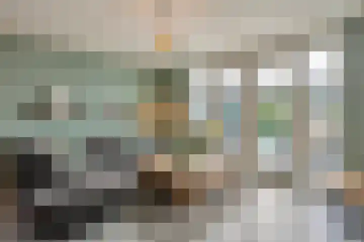 Rietven 65 Deurne thumbnail 11