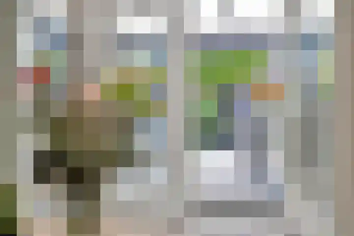 Rietven 65 Deurne thumbnail 15