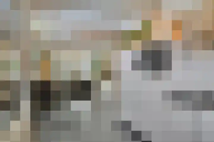 Rietven 65 Deurne thumbnail 16