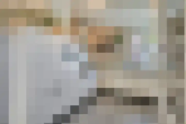 Rietven 65 Deurne thumbnail 17