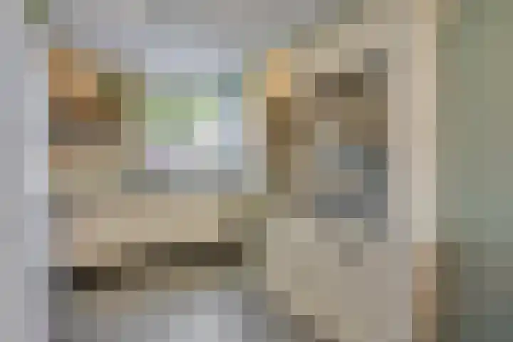 Rietven 65 Deurne thumbnail 18